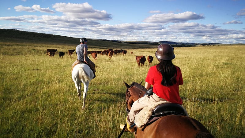 Riding horses in Uruguay