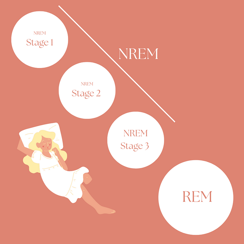 Stages of Sleep