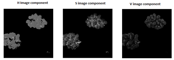 H, S, and V components of the image