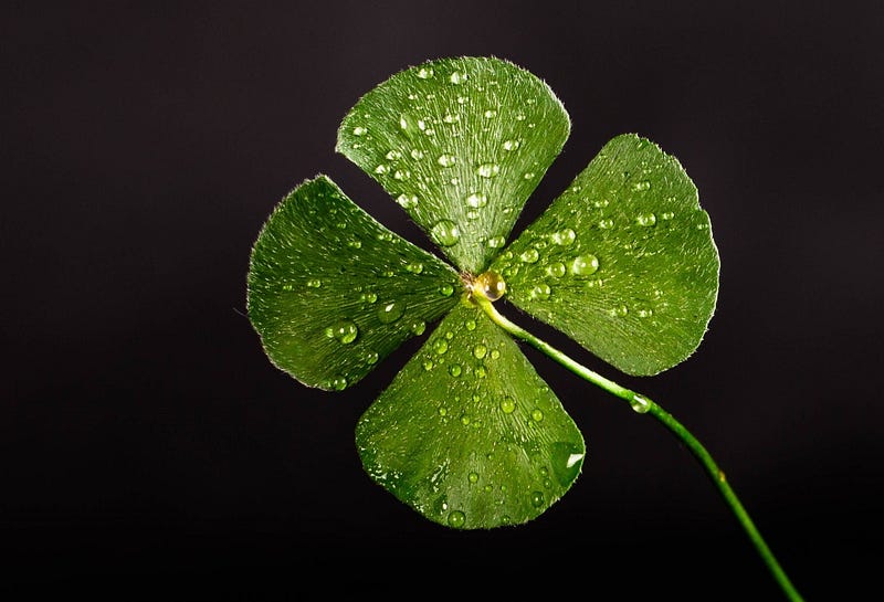 Clover growing in simulated Martian soil