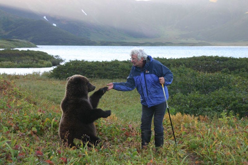 Bears appreciating nature