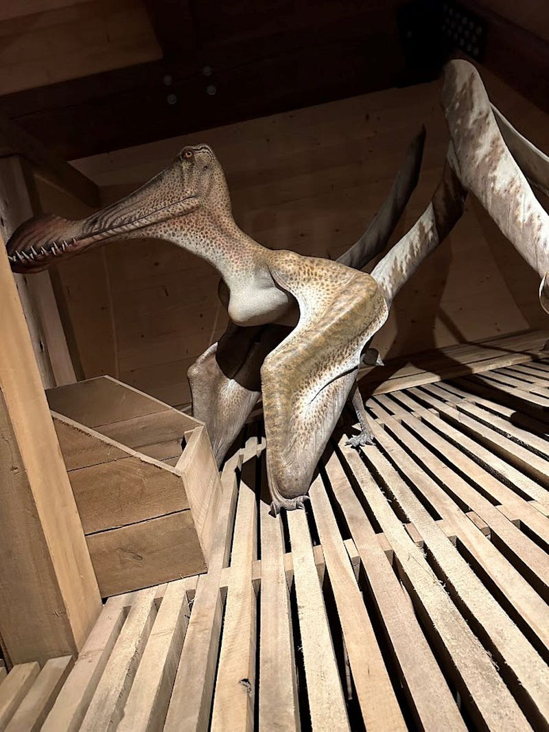 Reconstructed models of animals on display