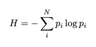 Information entropy formula