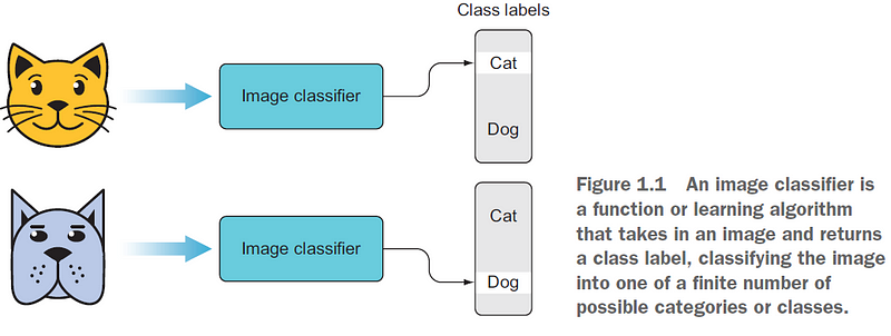 Animal Classification Example