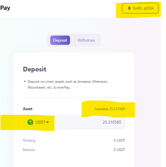 everPay interface for swapping USDT