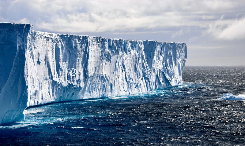 Antarctica's Unique Ecosystem