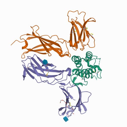 TSLP molecule in action with associated proteins