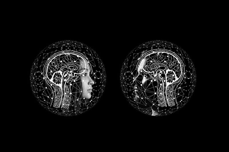 Brain imaging related to Alzheimer's research