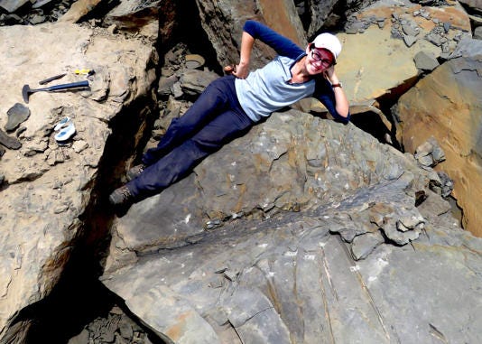 Researcher examining fossilized tree remains