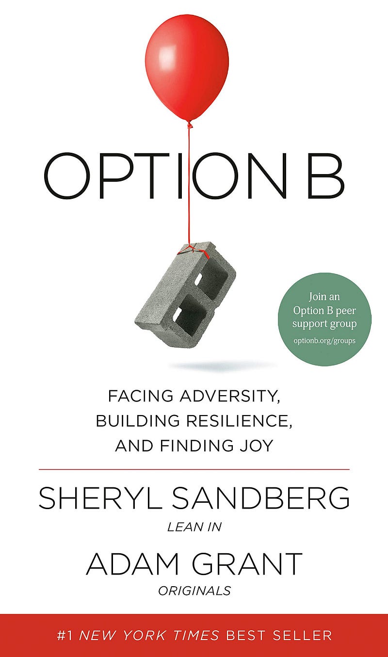 Book cover of "Option B"