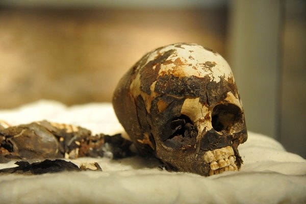 Tashwinat mummy, an early Libyan find