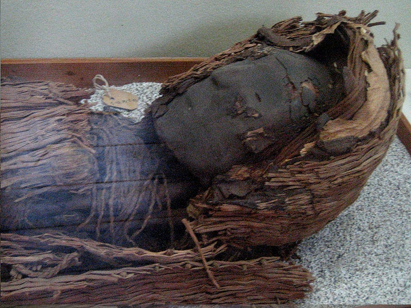 Chinchorro mummy, a unique cultural find