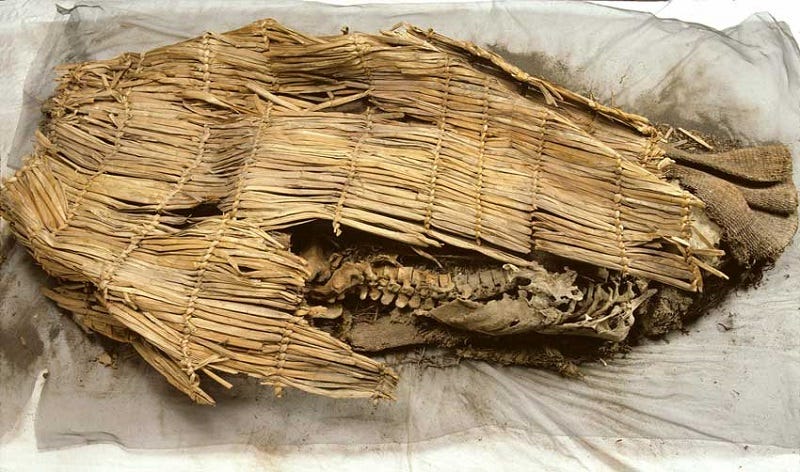 Spirit Cave mummy, the oldest known mummy